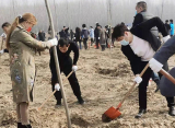 On March 11, President Xu Shuai, a CPPCC member, participated in the 44th Arbor Day
