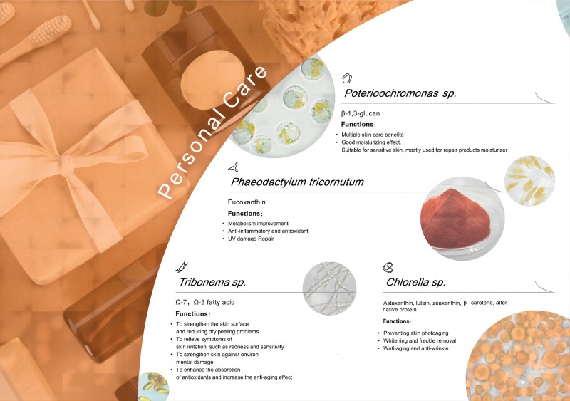 1719899467378438.jpg 3bdeaeb8795816229ccd0c0a56a1e64(1).jpg