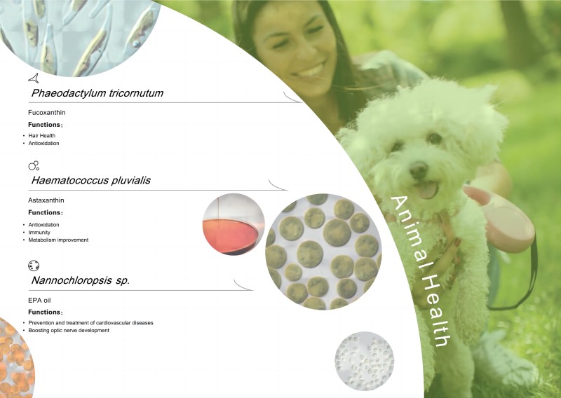 1719901557380379.jpg 4624f213da58cb94dbd1321c914dc59(1).jpg