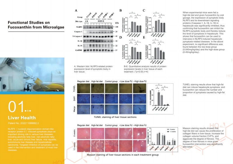 1719901505989604.jpg 9ac76dbd5f846bc9b090b5f106541bf(1).jpg