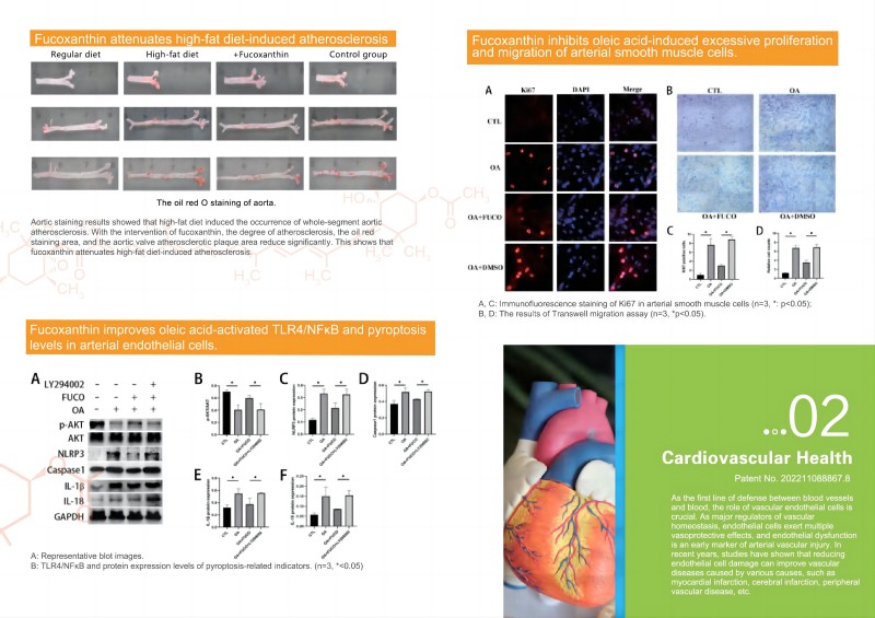 1719901501718135.jpg 252f3c173f5fa0133afefc3aebe25ae(1).jpg